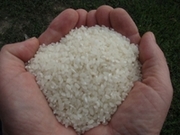 Продам рис баракат!!!